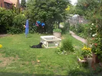 HPIM7682.webp