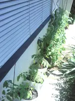 IMG_20120616_124235.webp