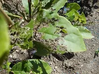 k-DSCN0019.webp