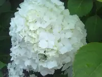 16062012591.webp