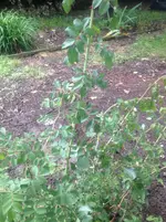 022.webp