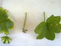 170620121244.webp