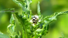 DSCN3122.webp