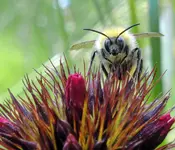 06. Mutts - Schau mir in die Augen, Kleines.webp 06. Mutts - Schau mir in die Augen, Kleines.webp