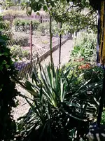 P170612_11.41.webp