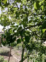 P170612_11.41_[01].webp