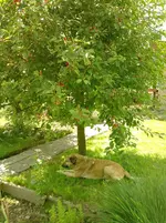 P170612_13.34.webp