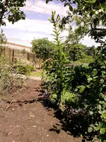 P170612_11.42_[03].webp