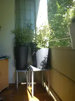 DSC00500.webp