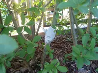 P1020013.webp