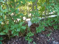 P1020016.webp