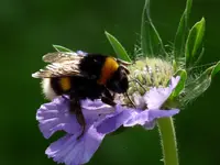 08. Luise-ac - Mahlzeit!.webp 08. Luise-ac - Mahlzeit!.webp