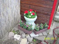 022.webp
