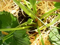 PIC_0027.webp