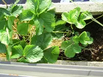 PIC_0029.webp