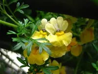 IMG_3366.webp