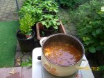 Gulasch im Garten 100_1021 (Large).JPG