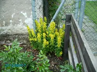 PICT0027.webp