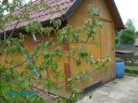PICT0025.webp