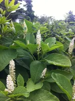 Foto 1.webp