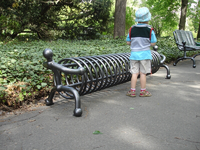 DSC08551.webp