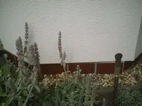 Süd.webp