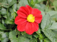 IMG_0364.webp
