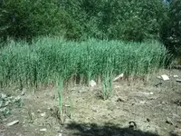 2012-06-18 13.08.11.webp