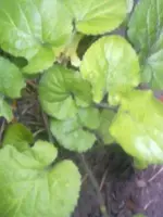19062012482.webp