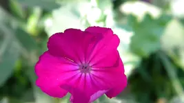 DSCN3150.webp
