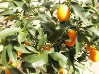 Bild 1315.webp