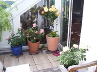 101_6839.webp