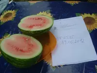 Garten 19.06.2012 (10).webp