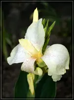 comp_DSC01870.webp