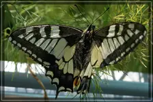 comp_DSC01855.webp
