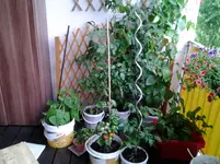 20120619_205701.webp