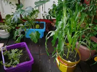 20120619_205636.webp