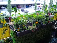 20120619_205511.webp