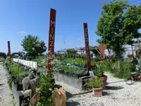 CIMG0524.webp