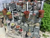 CIMG0531.webp