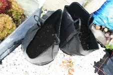 20120619_2303.webp