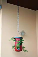 20120619_2297.webp