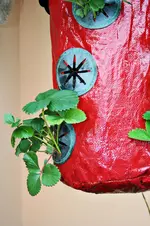 20120619_2298.webp