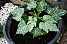 20120619_2302.webp