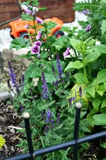 20120619_2307.webp
