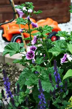 20120619_2308.webp