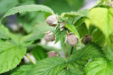 20120619_2310.webp