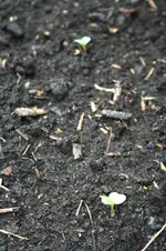 20120619_2311.webp