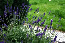 20120619_2315.webp