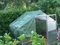 Sonnenschutz.webp